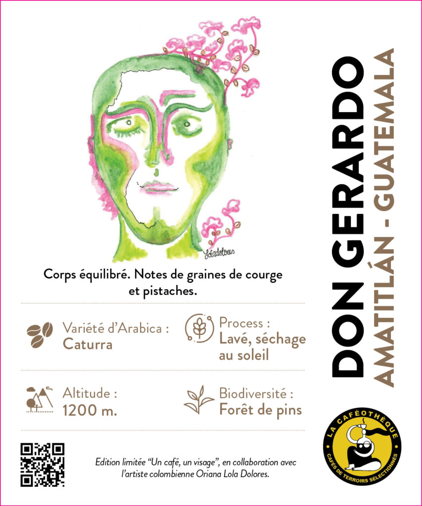 Don Gerardo