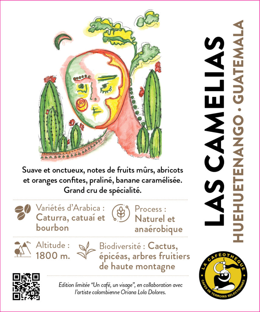 Las Camelias
