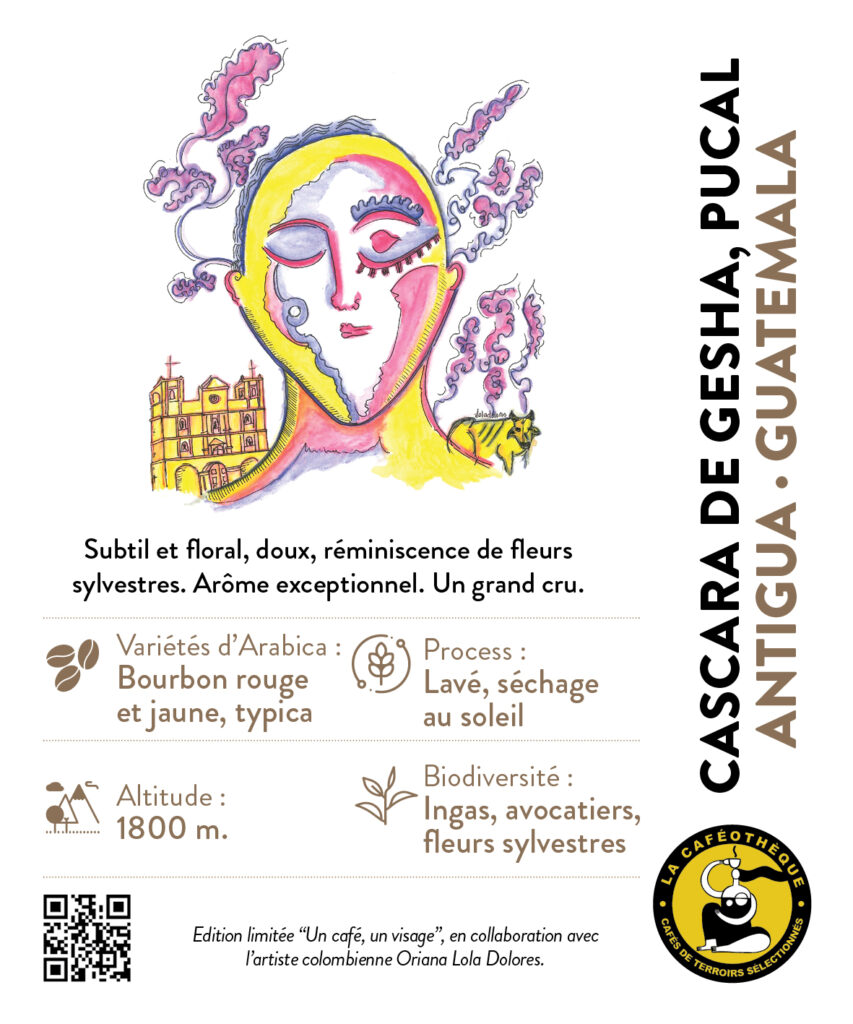 Cascara Gesha